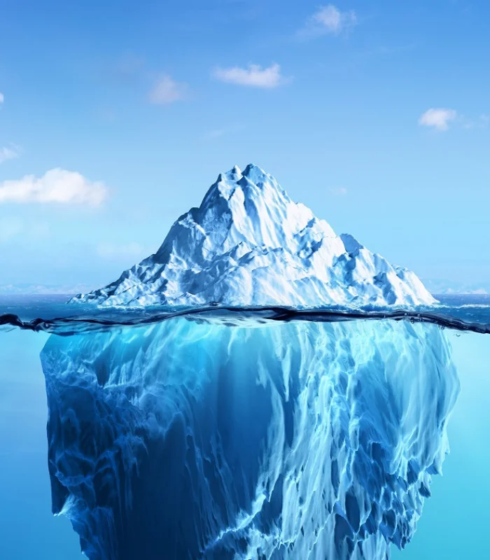 NNC-International - Peace of Mind through Self-Realization